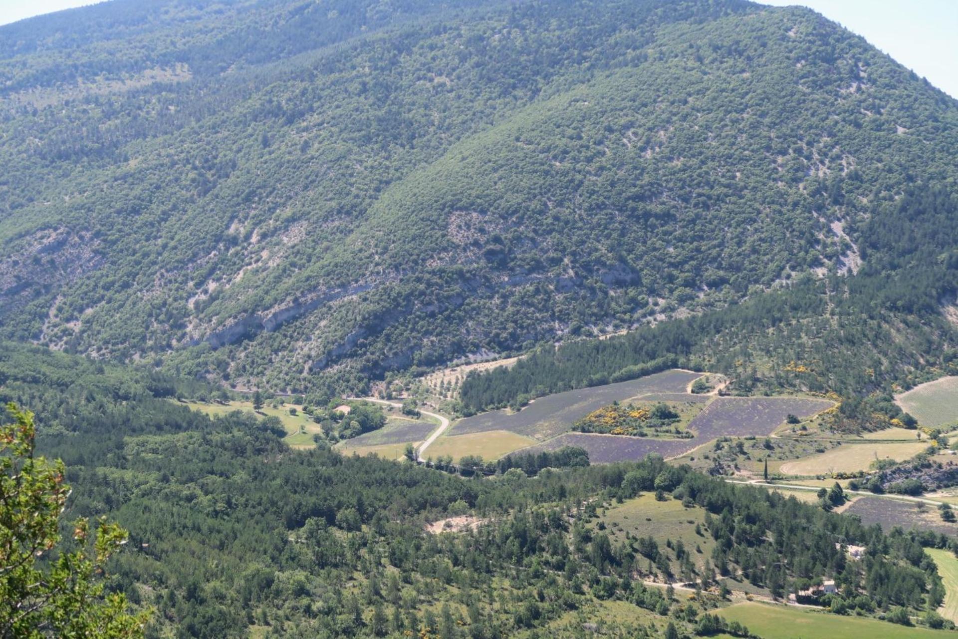 La Terrasse D'Olea, Au Coeur Du Village Buis-les-Baronnies Bagian luar foto